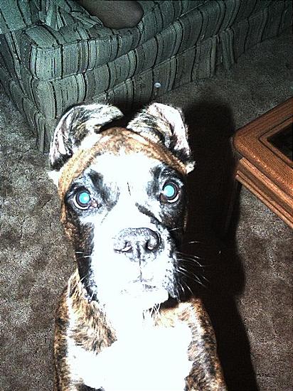 zeusincamera.JPG