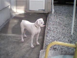 starr2@7mths.JPG
