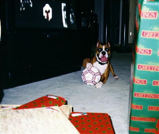 xmas98.JPG