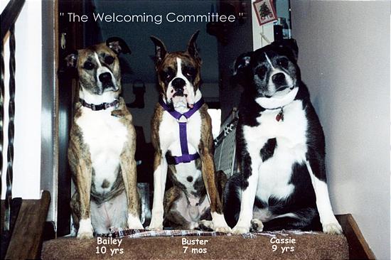 Welcoming_Committee_1.JPG