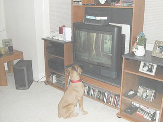 watchTV.JPG