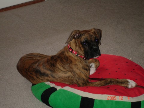 Big_Girl