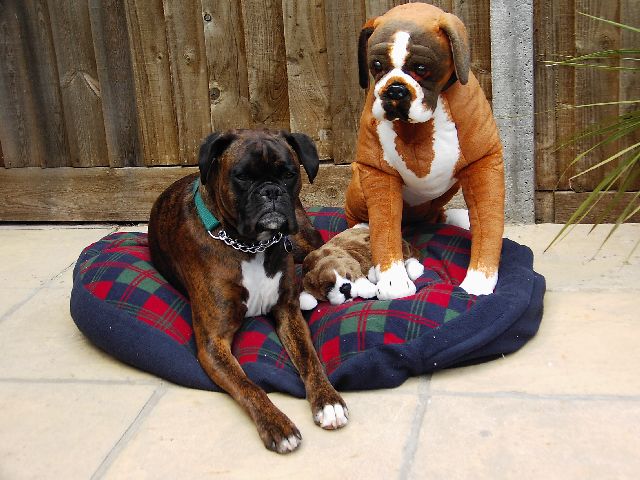 Bruno_Bella_and_Prints
