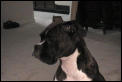 4343sideview.JPG