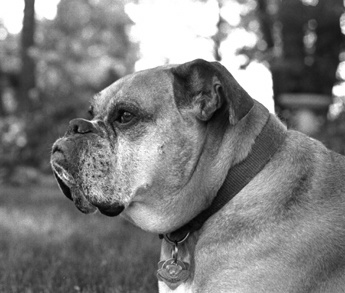 20876sam-profile