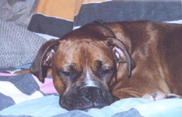 6824Pooped