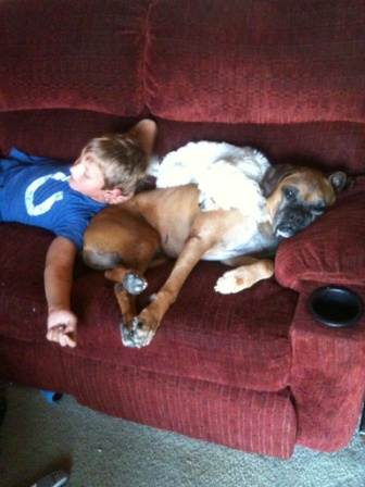 Dogs_and_Matt