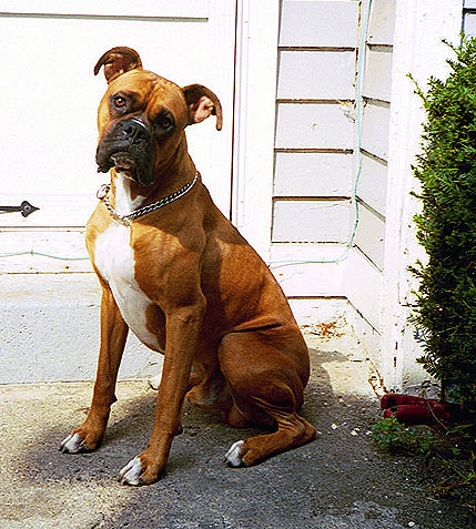Dorian03web