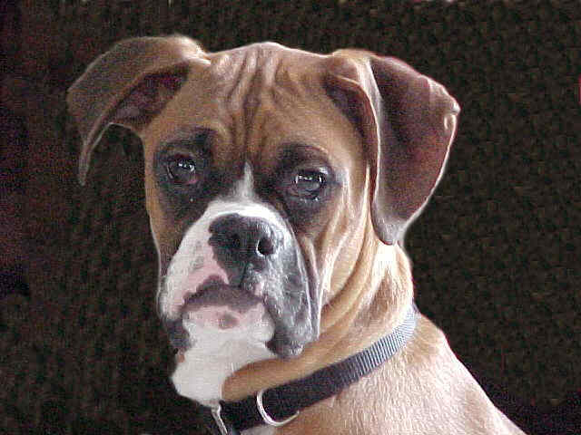 otis_smallest