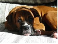 small_pic_of_charley
