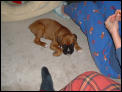 12233Hannibalat2months2.jpg