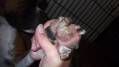 DSCF2942.JPG