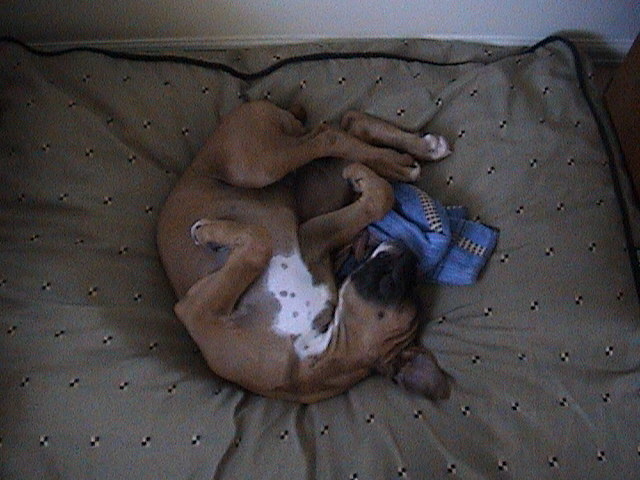21783sleepin1
