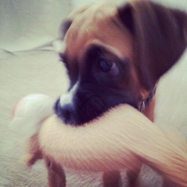 biting
