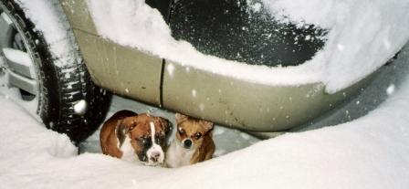 scan0001