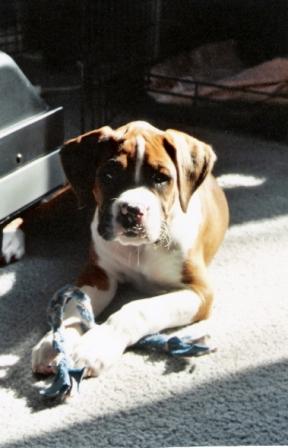 scan0008