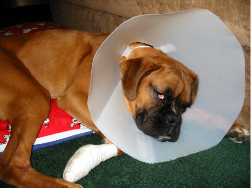 10496MaxSurgery1