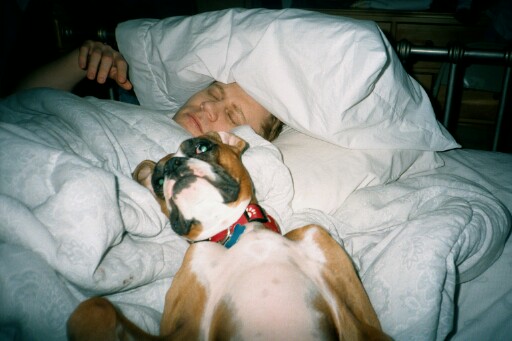 9496Max&BrenSleeping