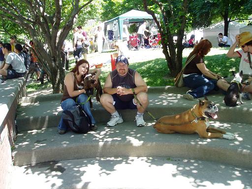 woofstock_24_copy
